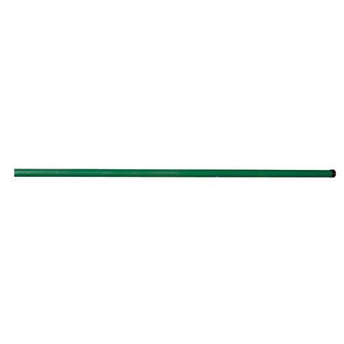 Stâlp pentru gard, lungime 2,3 m, diametru 42 mm, verde, Fe