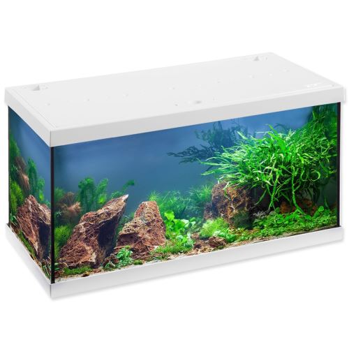 Set de acvariu Aquastar LED alb 54 l