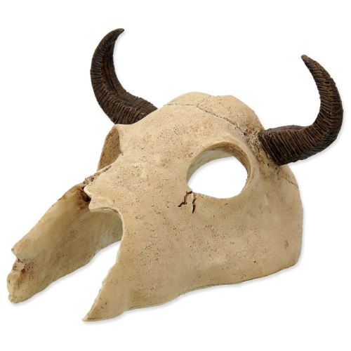 Decorațiune Craniu de bivol 12,5 cm