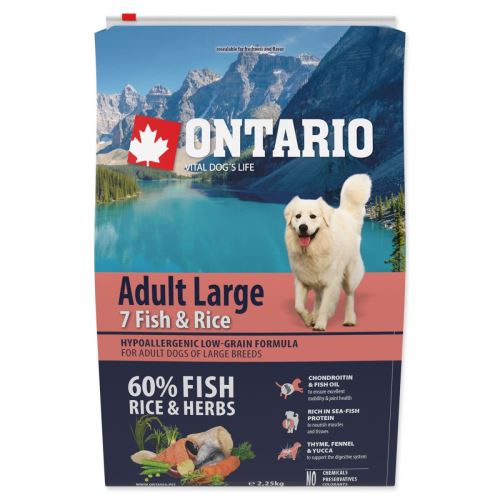 Dog Adult Large Fish & Rice 2.25 kg