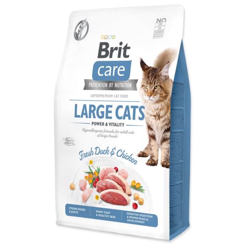 BRIT Care Cat Grain-Free Grain-Free Pisici mari Power & Vitality 2 kg