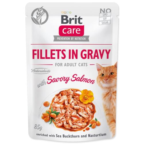 BRIT Care Fileuri pentru pisici în sos cu somon savuros 85 g