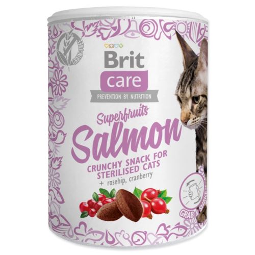 BRIT Care Cat Snack Superfruits Somon 100 g