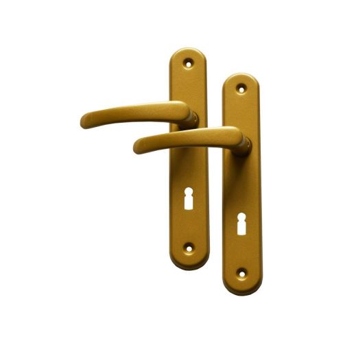 Fitinguri MICHAELA mâner + mâner pentru cheia de dozare, 72 mm, auriu