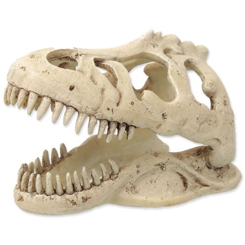 Decorațiune T-REX craniu 13,3 cm
