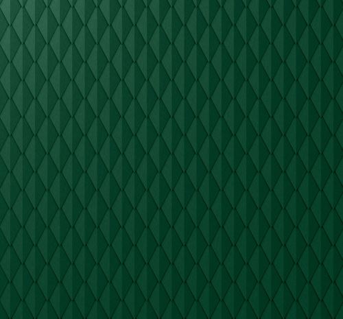 PREFA stuc, 305 x 175 mm, verde mușchi P10 / ambalaj 1 m2